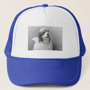 Camionero Gorra de perro