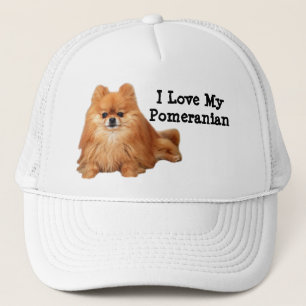 Camionero Gorra de Pomeranian