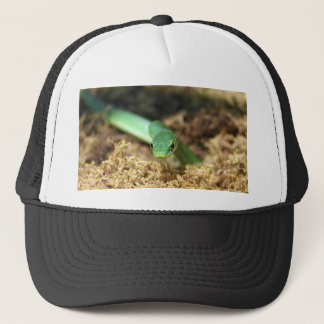 Camionero Gorra de serpiente verde