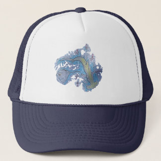 Camionero gorra de tiburones