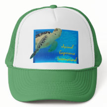 Gorra de Tortuga