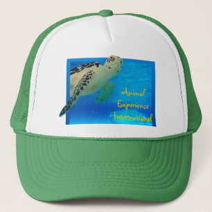 Camionero Gorra de Tortuga