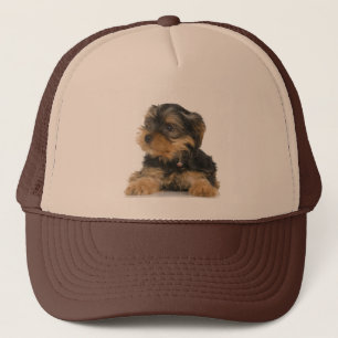 Camionero Gorra de Yorkshire Terrier