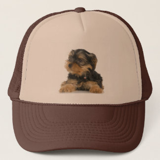 Camionero Gorra de Yorkshire Terrier