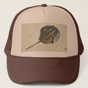 Camionero Gorra del cangrejo de herradura