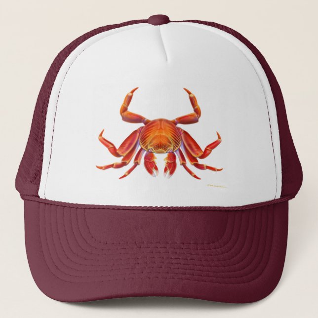 Camionero Gorra del cangrejo de Sally Lightfoot (Anverso)