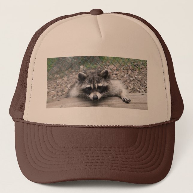 Camionero Gorra del Coon, casquillo de la bola del Racoon (Anverso)