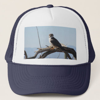 Camionero Gorra del halcón de la pradera
