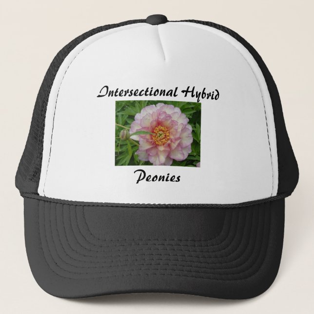 Camionero Gorra del Peony de Intersectional, negro (Anverso)