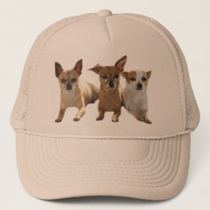 Camionero Gorra del trío de la chihuahua
