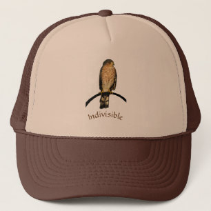 Camionero Gorra indivisible del halcón de Brown