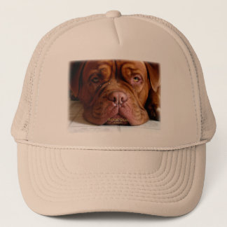 Camionero Gorra lánguido de la obra clásica del perro