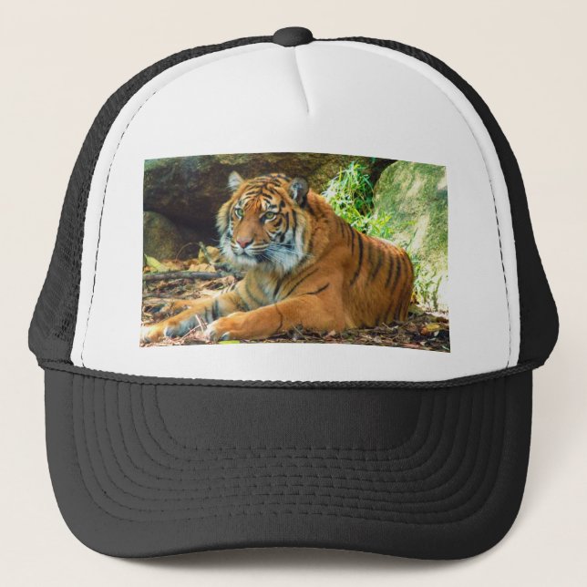 Camionero Gorra magnífico de los camioneros del tigre (Anverso)