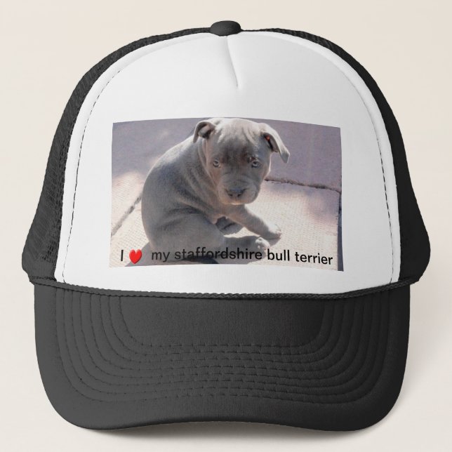Camionero Gorra para todos los amantes de Staffordshire bull (Anverso)