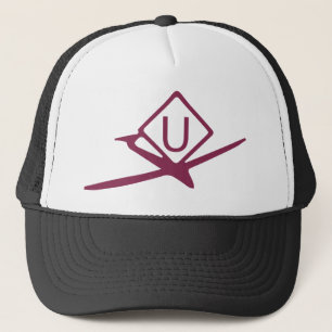 Camionero Gorra piloto de símbolos de actividad de drones de