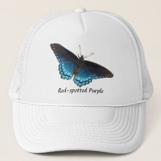 Camionero gorra púrpura Rojo-manchado de la mariposa