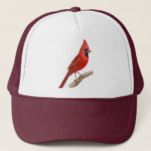 Camionero Gorra rojo cardinal masculino de la malla del