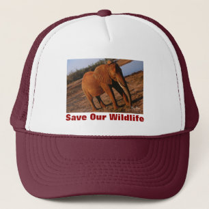 Camionero Gran Rojo salva a nuestro Gorra de vida salvaje