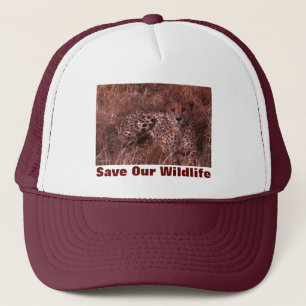Camionero Gueparda salva a nuestro Gorra de vida salvaje