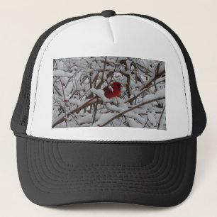 Camionero Hermoso Cardenal Rojo en un Gorra de árbol relleno