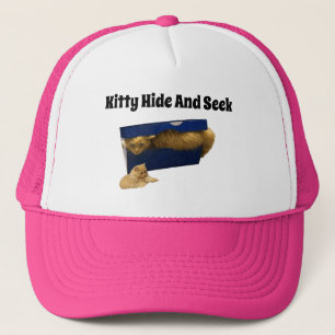 Camionero Kitty Escondiéndose En Una Caja De Zapatos, Gorra