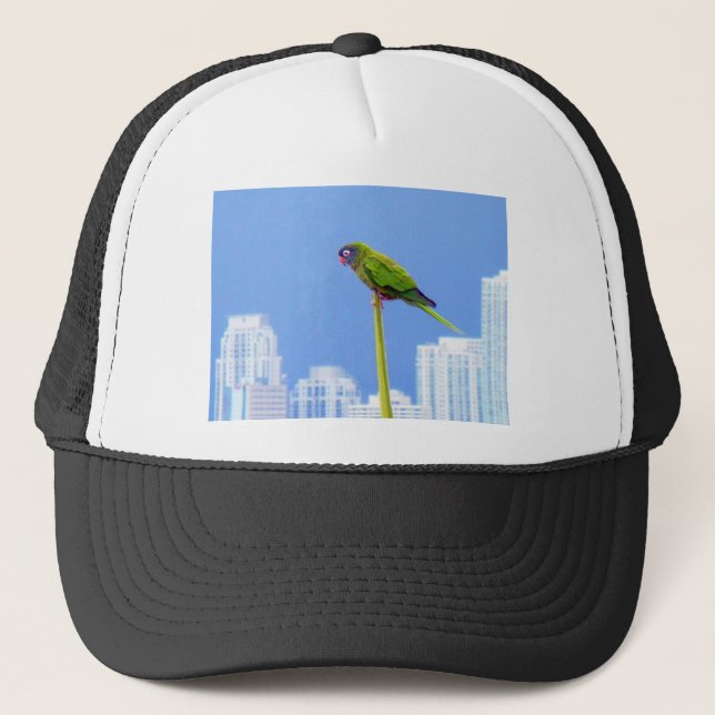 Camionero ~Loro~ GORRA de ARTE POP, AZUL (Anverso)