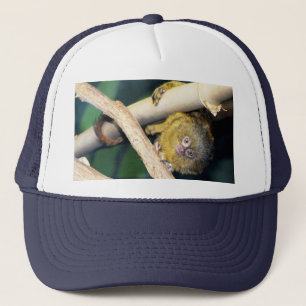 Camionero Marmoset Monkey Hola, Gorra de Camioneros