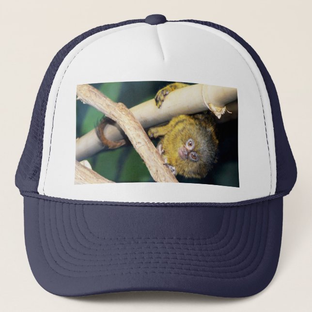 Camionero Marmoset Monkey Hola, Gorra de Camioneros (Anverso)