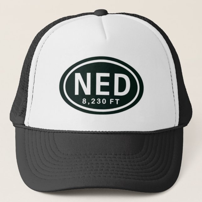 Camionero Nederland CO gorra de 8.230 del pie NED de la (Anverso)