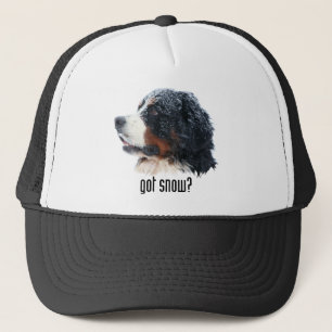 Camionero ¿nieve conseguida? Gorra de Bernese