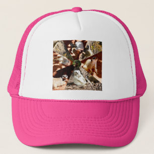 Camionero Nueve triángulos de Meerkat, Gorra de camioneros