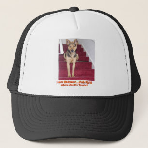 Camionero Perro de Halloween y Gorra sin tratamiento