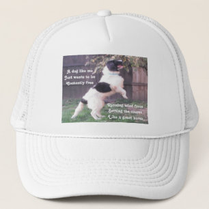 Camionero Poema gorra Perro Horse De Ladee Basset