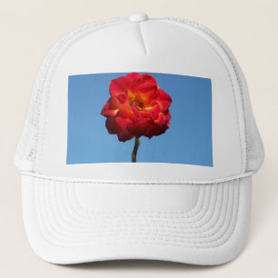 Camionero Rosa de Phoenix en el gorra Sky