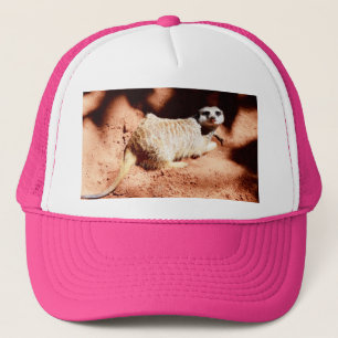 Camionero Soy Un Meerkat Que Haces, Gorra De Camioneros