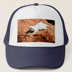 Camionero Stretching de Meerkat Blanco, Gorra de camioneros