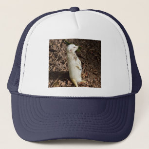 Camionero White Meerkat Standing, Gorra de Camioneros
