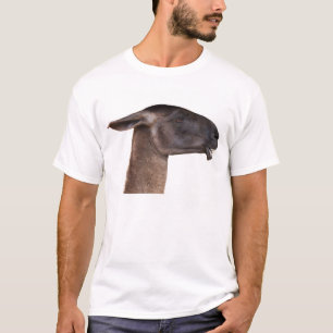 Camisa 001 de la llama
