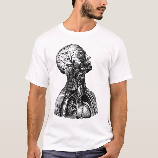 Camisa 1 de la anatomía (Anverso)
