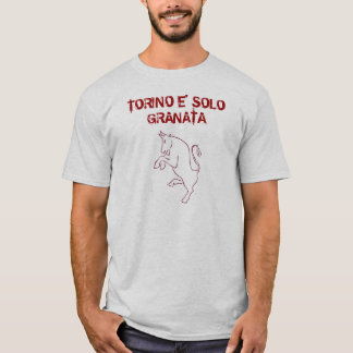 camisa a solas del granata de torino