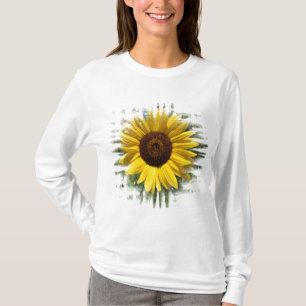 Camisa amarilla enmarcada del girasol