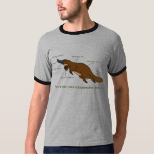 Camisa asombrosa para hombre de Platypus