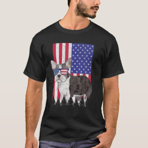 Camisa básica correcta