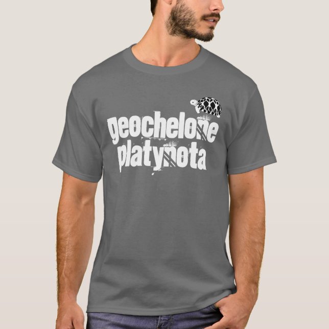 Camisa birmana de la tortuga de la estrella del (Anverso)