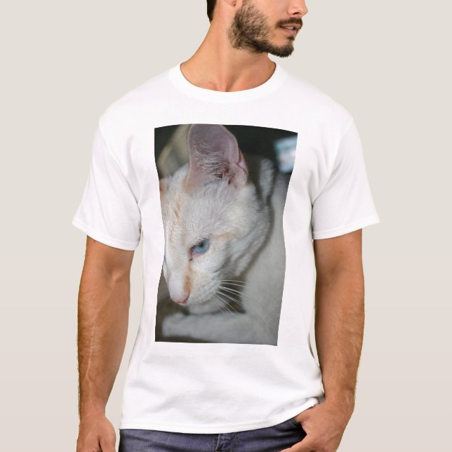 Camisa blanca del gato (Anverso)