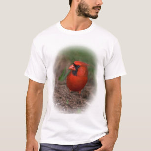 Camisa cardinal septentrional
