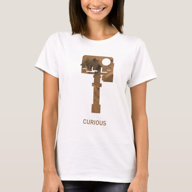 Camisa curiosa (Anverso)