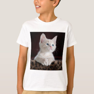 camisa de aspecto de gato