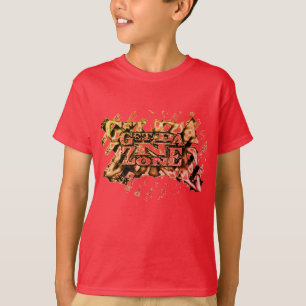 Camisa de chico 2