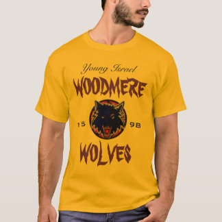 CAMISA DE CHIGERS